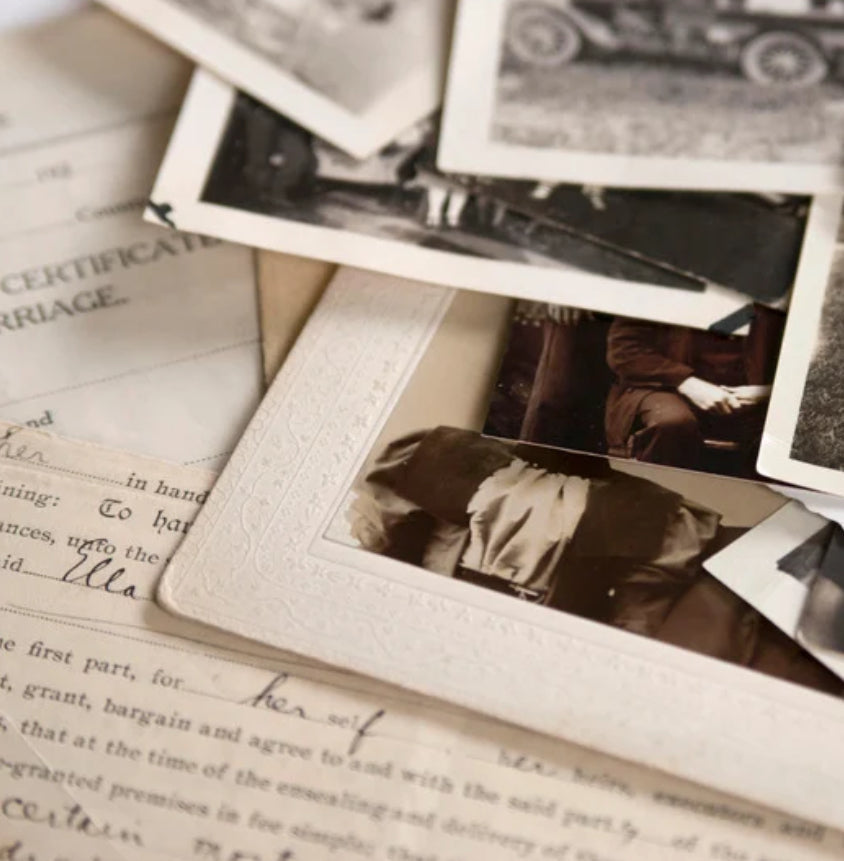 Primary Source Investigations